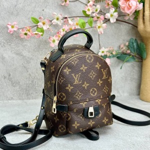 Louis Vuitton - Palm Springs Mini - Kahverengi